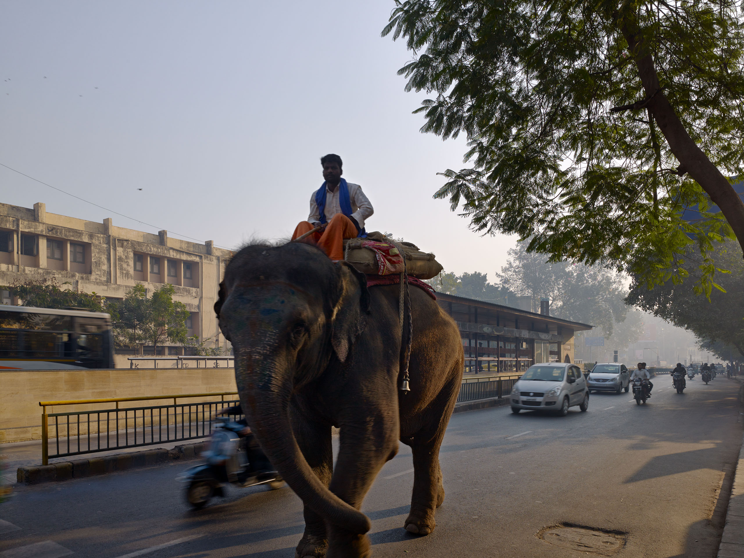 E14492 Alpa 042521 j2560